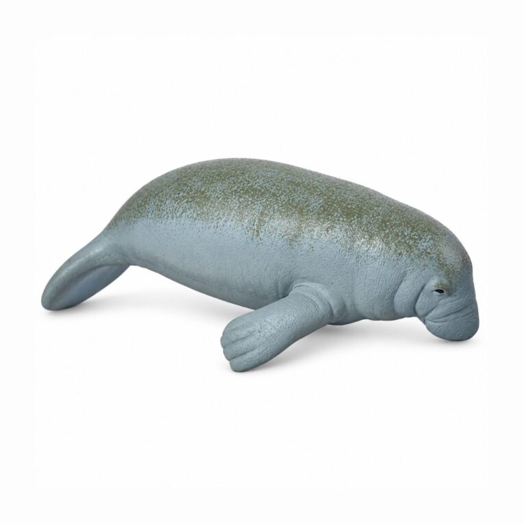 MANATI VINILO STRONG CANCAT