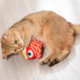 PEZ INTERACTIVO FISH-E SMALL