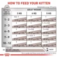 MOUSSE ROYAL CANIN GASTROINTESTINAL KITTEN