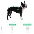 CAMPERA URBAN CARAMEL GF PET