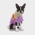 POLERA FIRESIDE VIOLETA GF PET