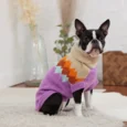 POLERA FIRESIDE VIOLETA GF PET