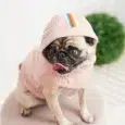 HOODIE URBAN ROSA GF PET