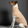 ABRIGO SNOOD HUND
