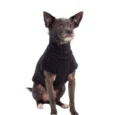 ABRIGO SNOOD HUND