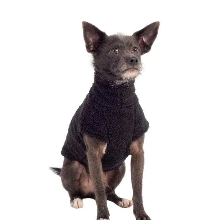 ABRIGO SNOOD NEGRO 2