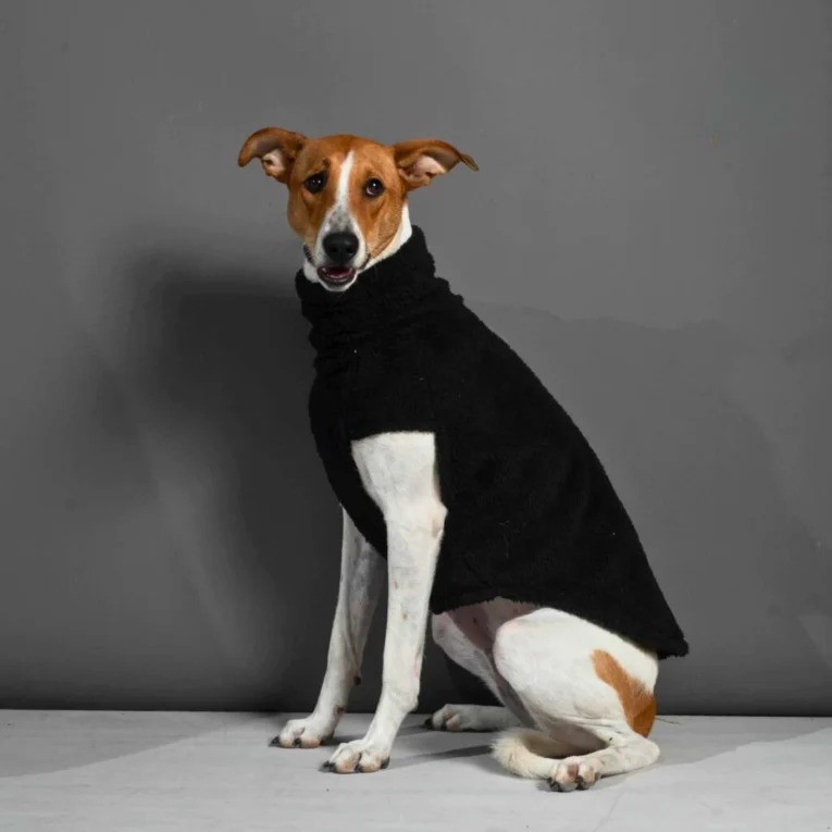 ABRIGO SNOOD NEGRO