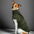 ABRIGO SNOOD HUND