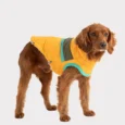CAMPERA ALPINE PUFFER GF PET