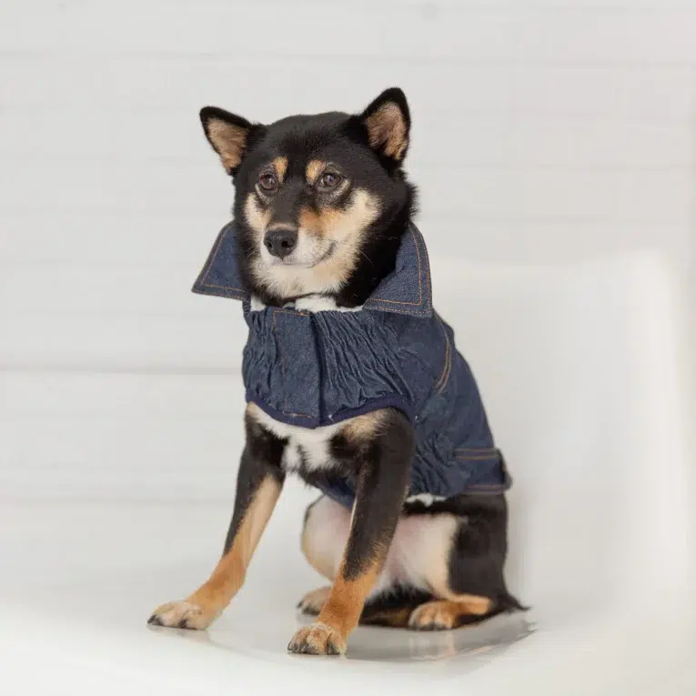 Denim-Jacket-GF-PET-1657630823_3000x