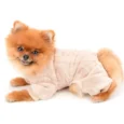 ENTERITO PLUSH PASTEL