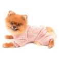ENTERITO PLUSH PASTEL