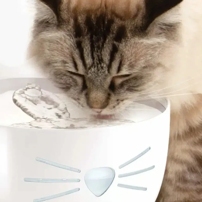 FUENTE CAT IT PIXI BLANCA TAPA DE ACERO 1