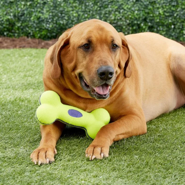 KONG-AIRDOG-BONE-LARGE-1