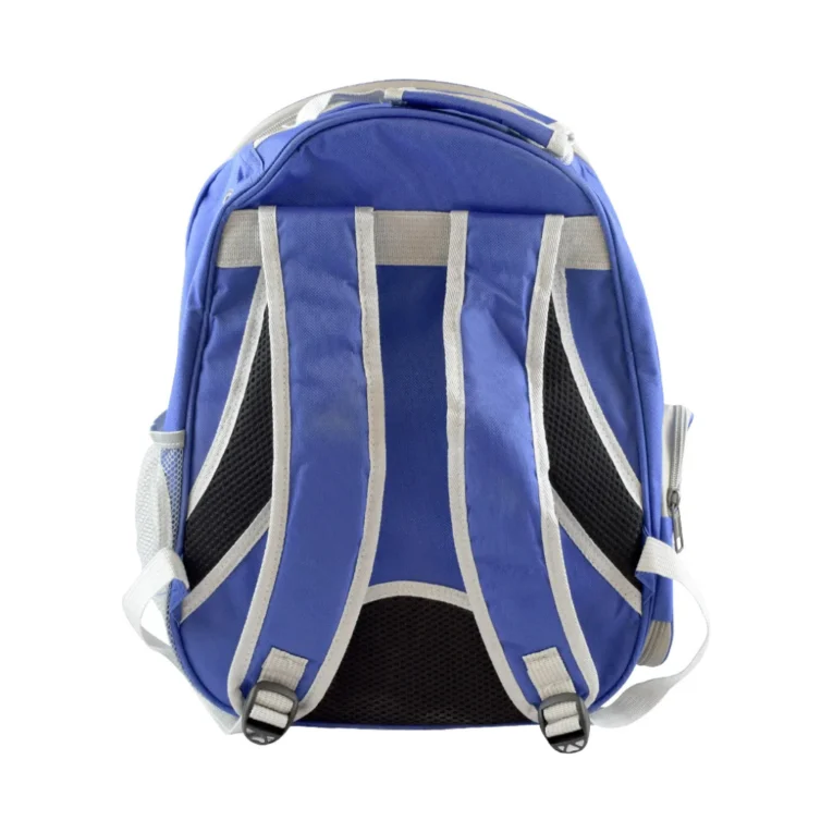 MOCHILA-TRANSPARENTE-CON-DIBUJO-DE-ANIMALITO-3_1