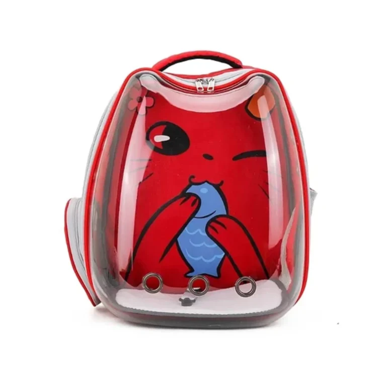 MOCHILA-TRANSPARENTE-CON-DIBUJO-DE-ANIMALITO-6