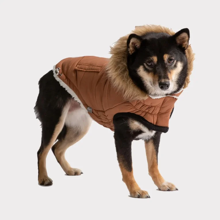 campera caramel corderito 3