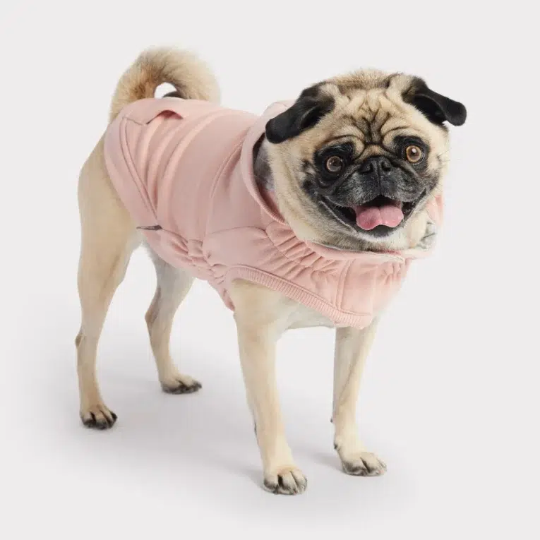 hoodie rosa 3