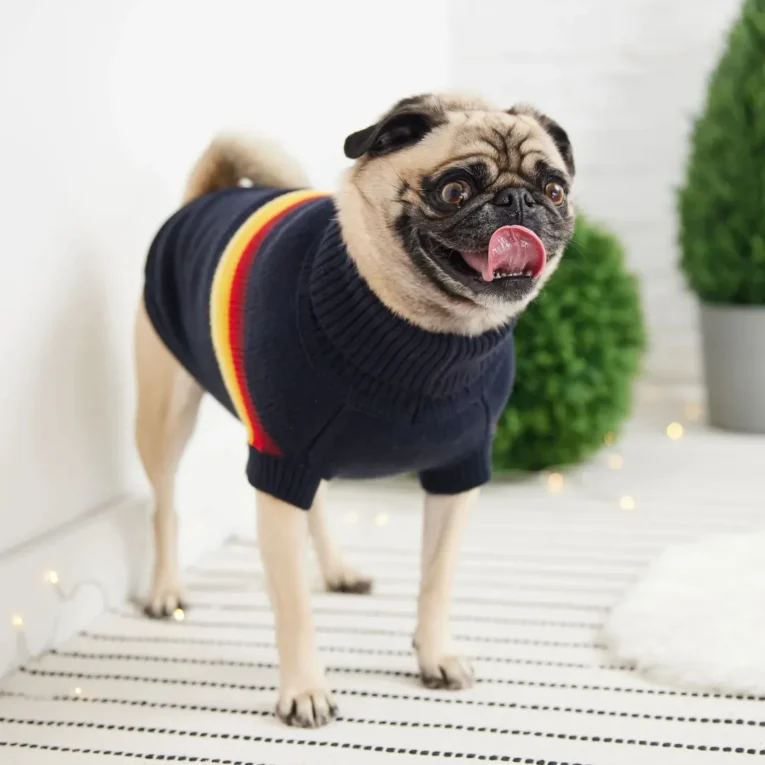 polera azul gp pets 3