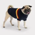 SWEATER RETRO NAVY GF PET