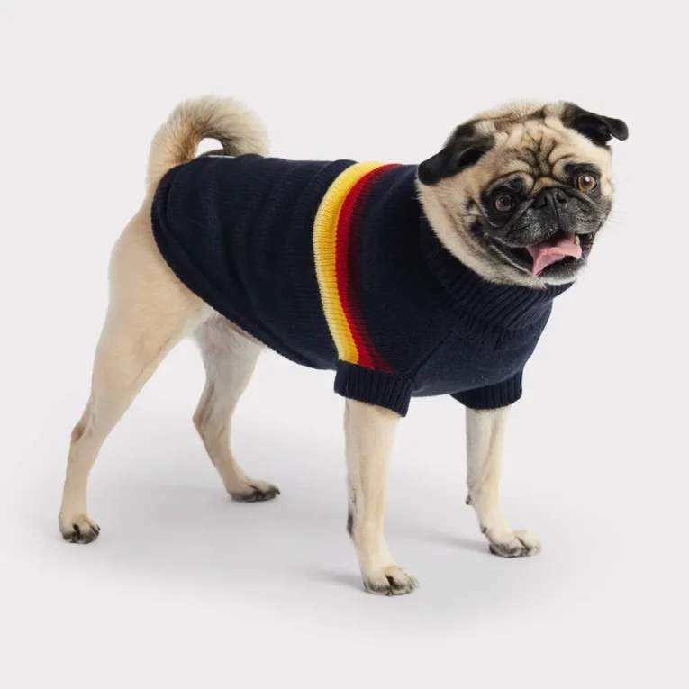 polera azul gp pets 4