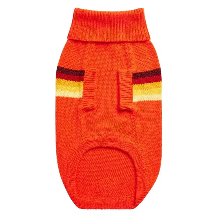 polera naranja gp pets 2