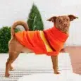 SWEATER RETRO NARANJA GF PET