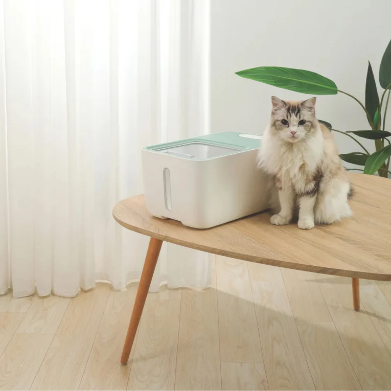 CONTENEDOR-PARA-ALIMENTOS-BOXI