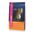 eukanuba cat ad