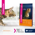 EUKANUBA CAT ADULT