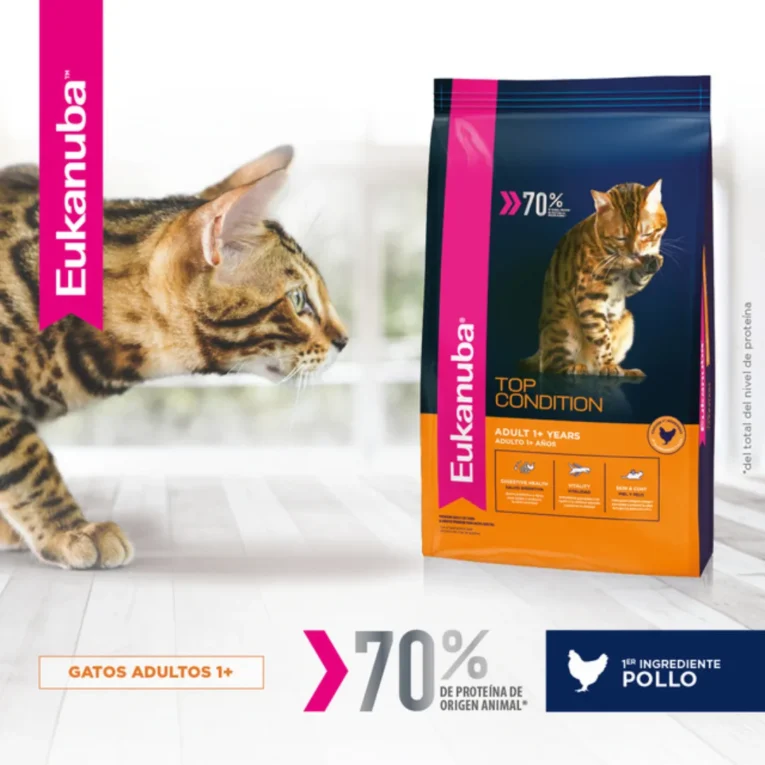 eukanuba cat ad
