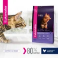 EUKANUBA CAT KITTEN