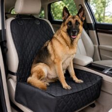 FUNDA CUBRE ASIENTO COPILOTO BEEPEX