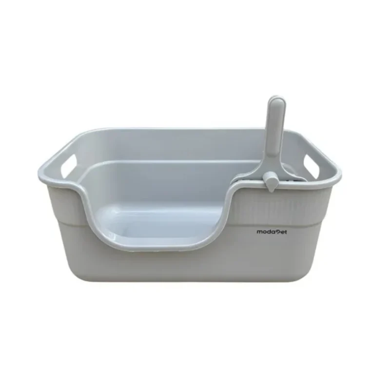 LITERA ALTA ABIERTA CON PALITA 1