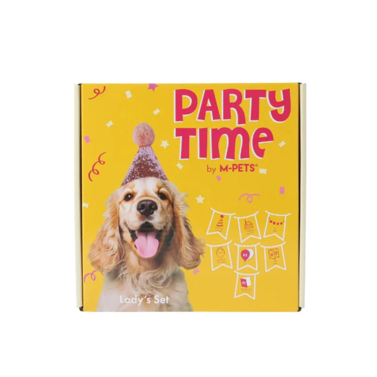 SET-DE-CELEBRACION-PARTY-TIME-2