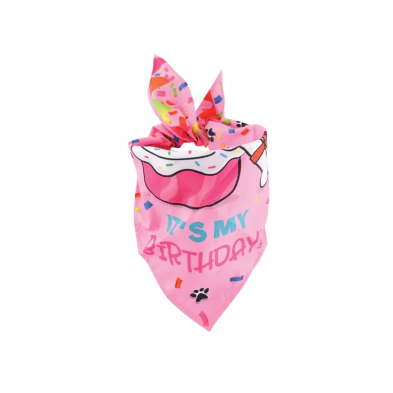 SET-DE-CELEBRACION-PARTY-TIME-5