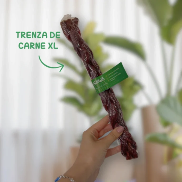 TRENZA DE CARNE XL GROWIS