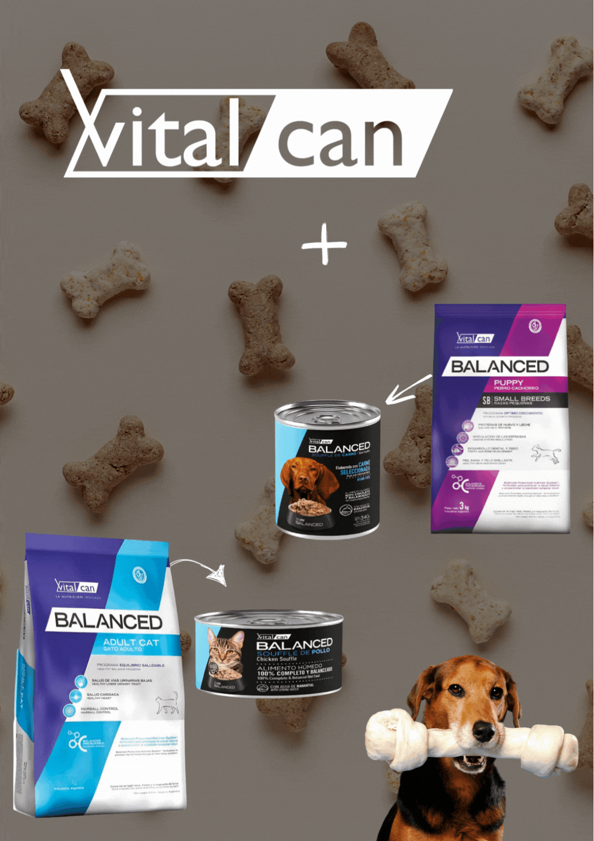 Banner VERTICAL (Web)