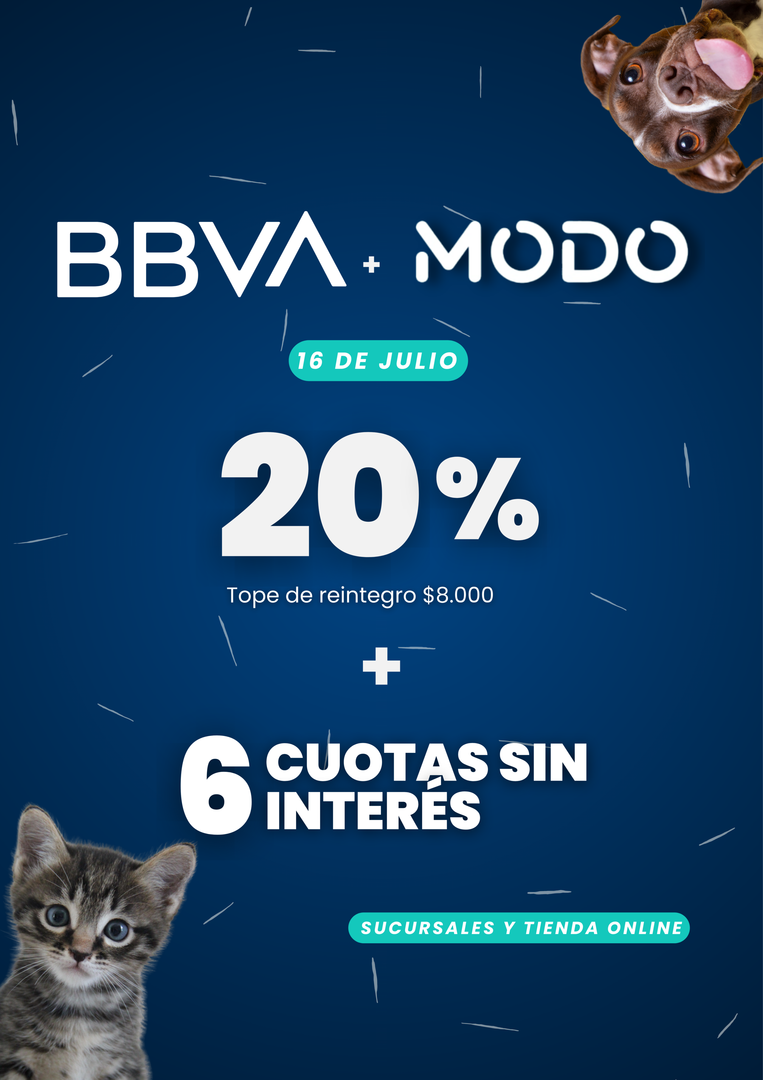 Banner VERTICAL (Web)