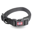 COLLAR RASCALS PREMIUM
