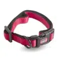 COLLAR RASCALS PREMIUM