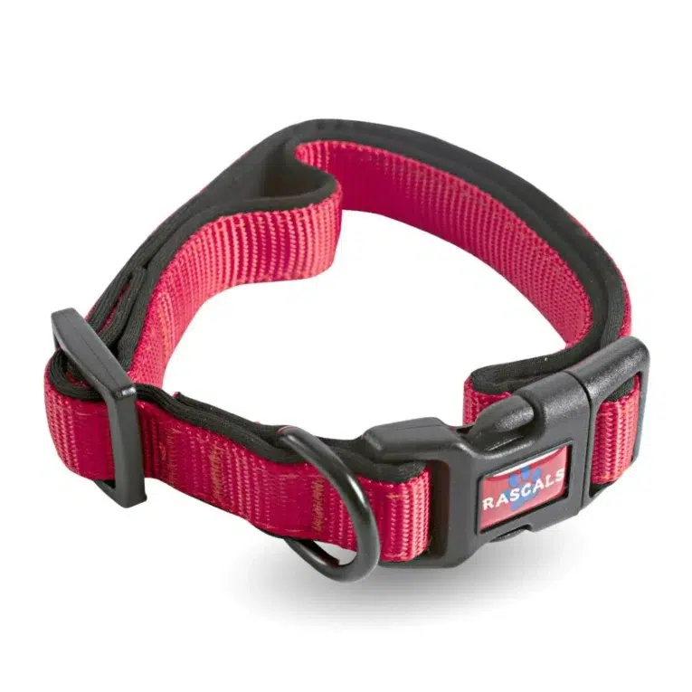 COLLAR RASCALS PREMIUM 4