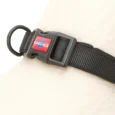 COLLAR RASCALS PREMIUM