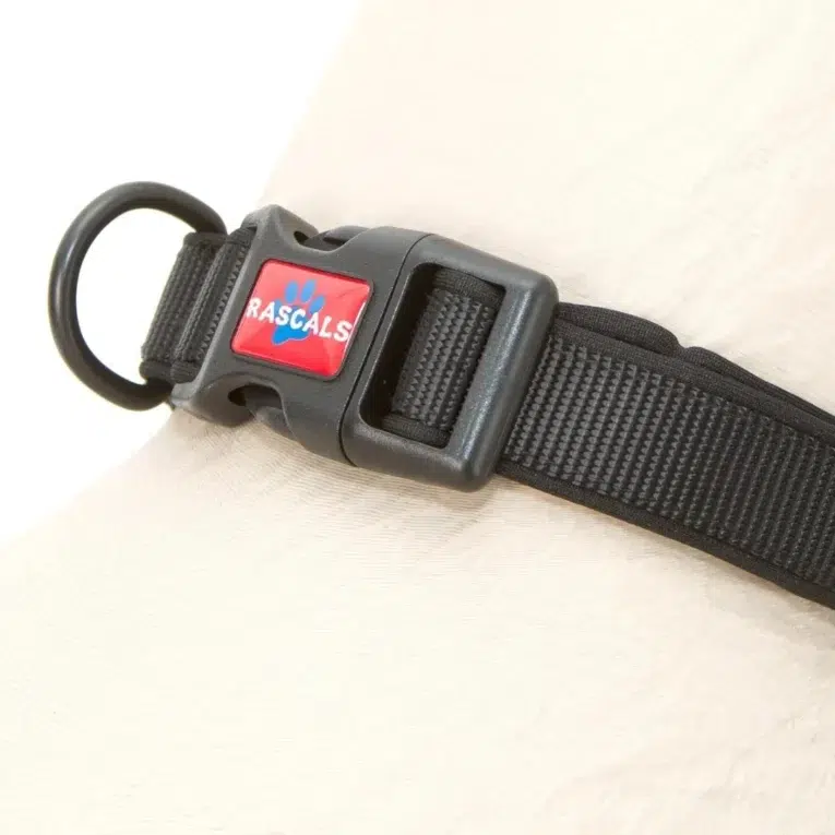 COLLAR RASCALS PREMIUM 5
