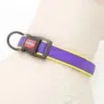 COLLAR RASCALS PREMIUM