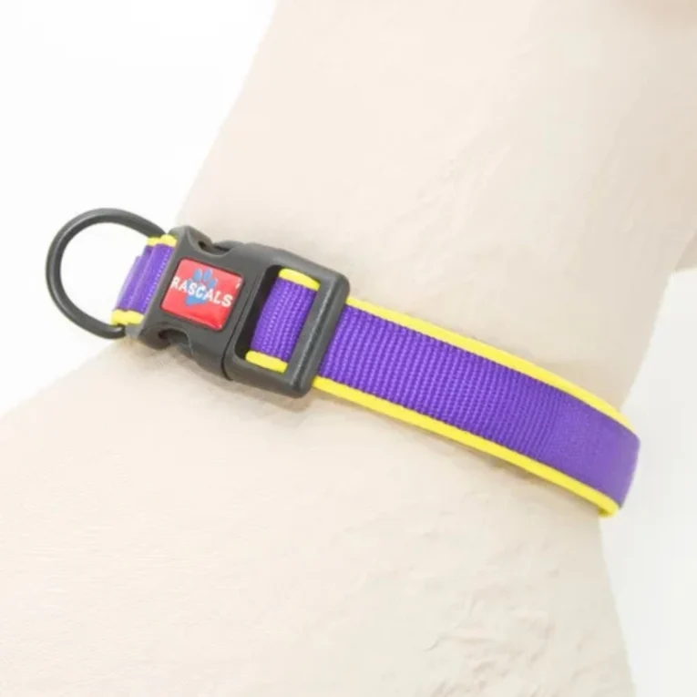 COLLAR RASCALS PREMIUM 6