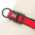 COLLAR RASCALS PREMIUM