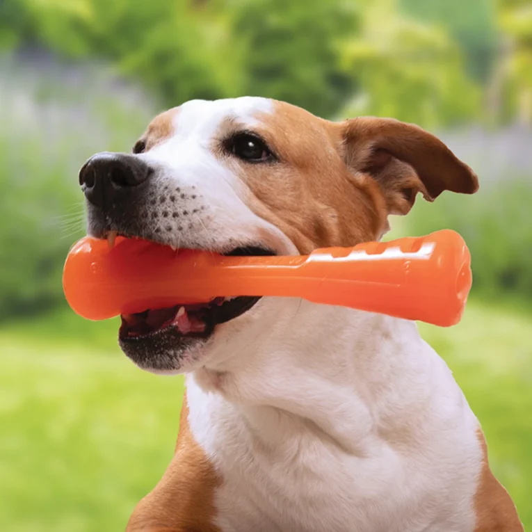 HUESO BIONIC PARA PERROS SMALL.LARGE