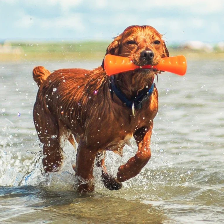 HUESO BIONIC PARA PERROS SMALL.LARGE.1png