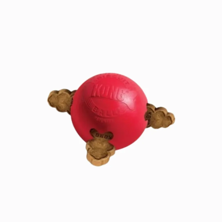 KONG BISCUIT BALL 1